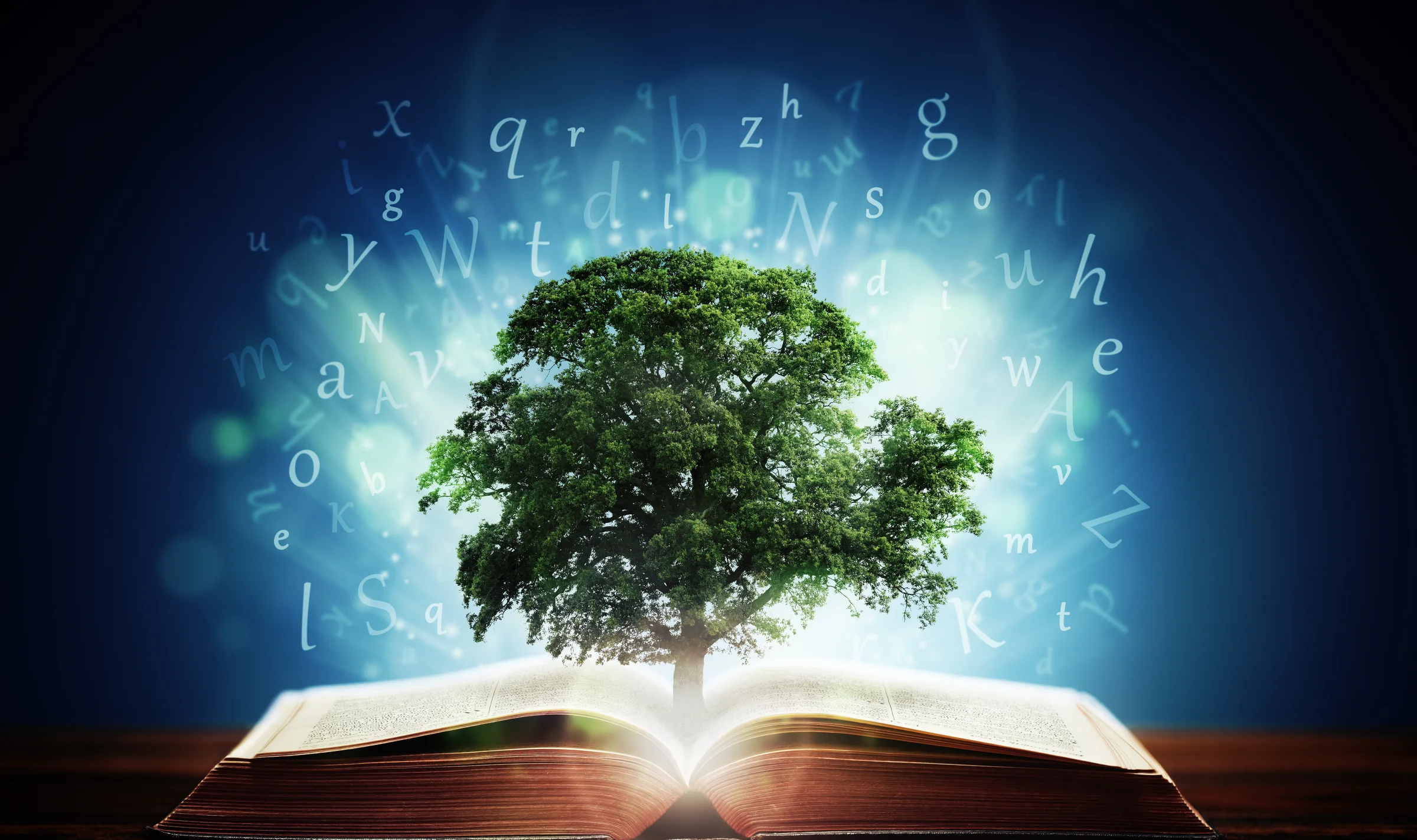 An open book with a tree growing from its pages