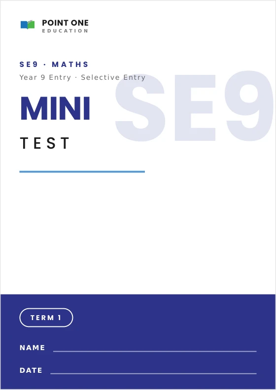 SE9 Maths & Reasoning Mini Test cover